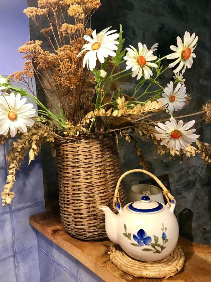Casa Mingot Sxvi Anciles Benasqueアパートメント エクステリア 写真