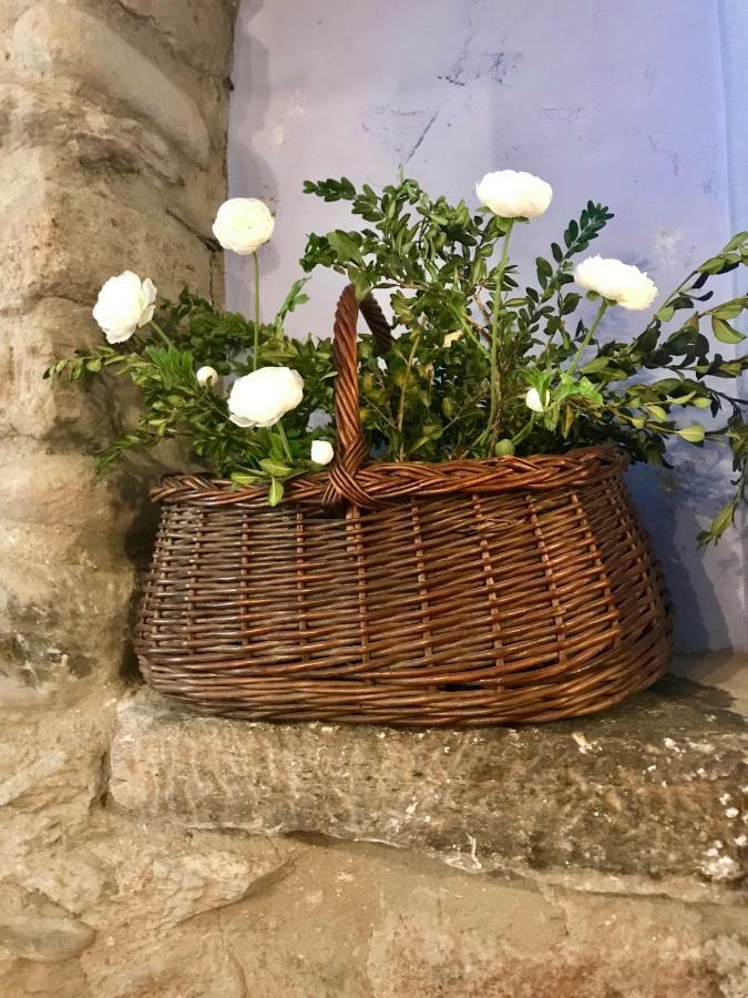 Casa Mingot Sxvi Anciles Benasqueアパートメント エクステリア 写真
